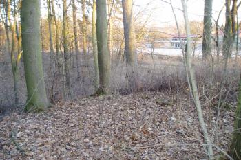 Tvrz Talíř (©F.Nestával  25/02/2012)