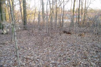 Tvrz Talíř (©F.Nestával 25/02/2012)