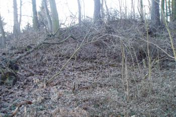 Tvrz Talíř (©F.Nestával 25/02/2012)