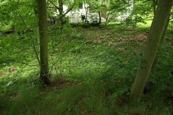 příkop z jádra tvrziště ( © Milan Caha 07/2009)