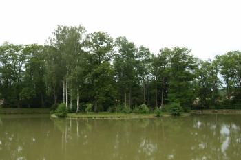 tvrziště od jihu ( © Milan Caha 07/2009)