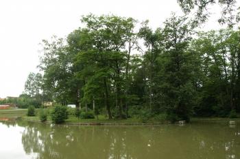 tvrziště od východu ( © Milan Caha 07/2009)
