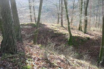 příkop na záp. (© D Dohňanský, 12/2014)