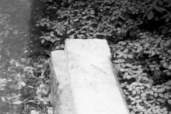 Nález (Jirka Ansorge©1990)