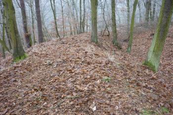 Vnitřní val je nápadně zploštělý, buď pro komunikaci, či byla jeho koruna osazena plotem apod. (© Jan Večeřa, 12/2015)