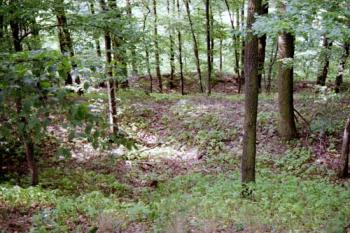 Zde stávával hrad (© 2002 Jiří Čížek)