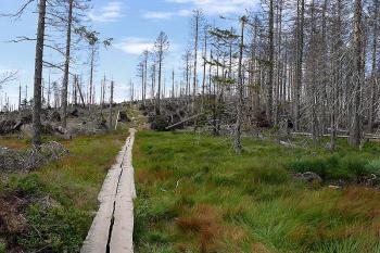 Cesta od Třístoličníku (© Jiří Cukr, 07/2009)