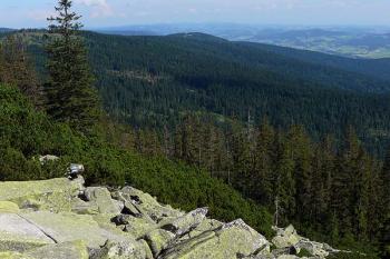 Skalní moře na jižních svazích (© Jiří Cukr, 07/2009)