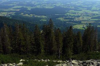 Skalní moře na jižních svazích (© Jiří Cukr, 07/2009)