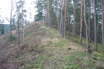 přístupová šíje vedoucí k hradu od západu (© D Dohňanský, 12/2014)