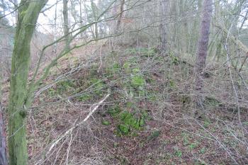 pohled přes západní příkop na místo hradu (© D Dohňanský, 12/2014)