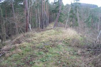 pohled od hradu na přístupovou šíji  (© D Dohňanský, 12/2014)