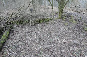 Jižní prostora centrální stavby od východu, pohled na čelní zeď se vstupem (strom), zdivo je bohužel ve velmi špatném stavu:( (© Jan Večeřa, 02/2016)