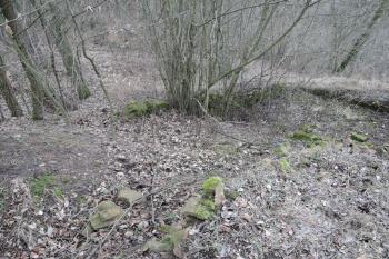 Začátek hradby na JV, napojuje se na val a ohraničuje jižní bok hrádku, v tomto nároží stála drobná stavbička (© Jan Večeřa, 02/2016)