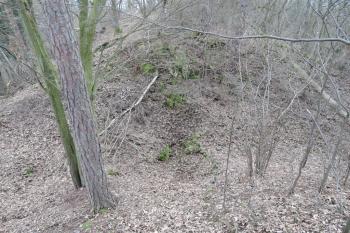Příčný SZ příkop a prohlubeň v něm, buď jde o novější výkop, nebo o prohlubeň pod mostkem vedoucím do jádra (© Jan Večeřa, 02/2016)