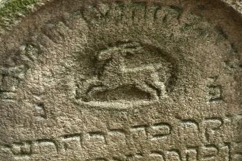 symbol rodu Hirsch -  jelen (© Milan Caha 07/2009)