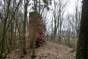 Věž od jz. (© D Dohňanský,03/2014)