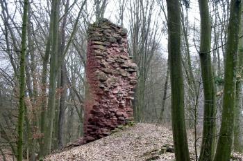 Věž od jihu (© D Dohňanský,03/2014)