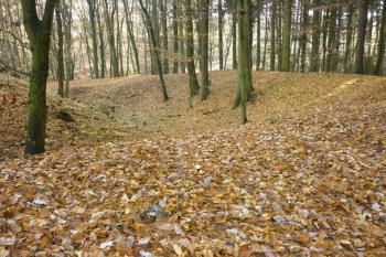 Krásně zachovaný val a příkop (© Jan Večeřa, 11/2015)
