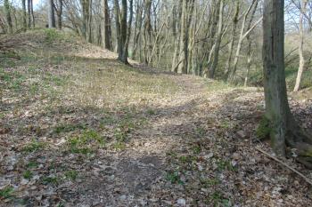 Linie sv. hradby (© Dušan Dohňanský  04/2021)