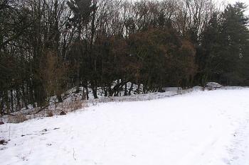 Celkový pohled ( © Roman Řezáč 01/2004)