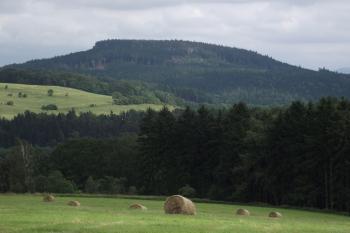  (© Michal Brůža, 07/2011)