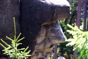 Zrádce ( © Milan Caha 07/2009)