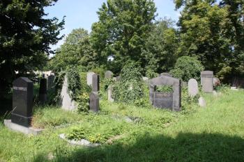 Zarůstající náhrobky ve východní polovině hřbitova ( © Ivan Grisa 07/2009)