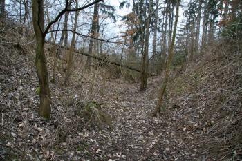 Vnější příkop (© Petr Nožička, 03/2009)