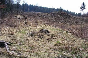 Hradní jádro ( © Roman Řezáč 03/2003)