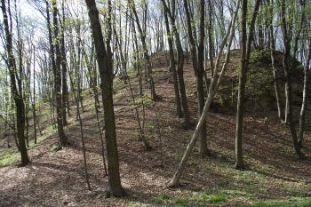  (© Michal Brůža, 04/2011)