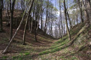  (© Michal Brůža, 04/2011)