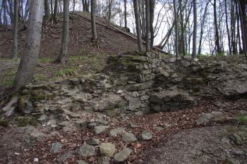  (© Michal Brůža, 04/2011)