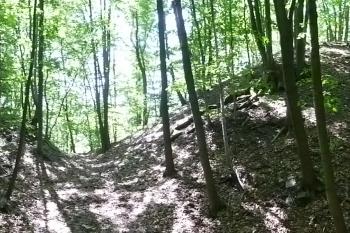 pozůstatky hradu Starý hrad (© Vlastislav Mareček, 08/2016)