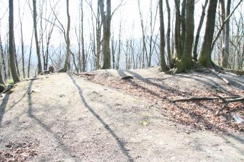 Vršek jádra (© Petr Nožička, 04/2009)