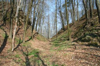 Příkop mezi předhradím a jádrem (© Petr Nožička, 04/2009)