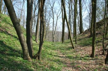 Příkop před přehradím (© Petr Nožička, 04/2009)