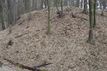  (© Michal Brůža, 03/2011)