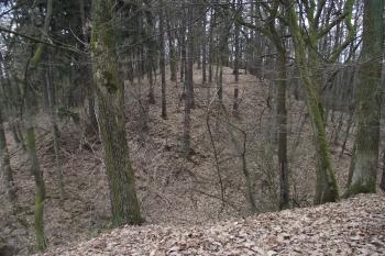  (© Michal Brůža, 03/2011)