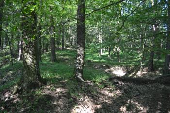 Vildenberk (© Tomáš Marek, 06/2012)