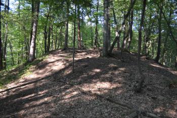 Vildenberk (© Tomáš Marek, 06/2012)