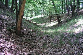 Příkop ( © Roman Řezáč 06/2003)
