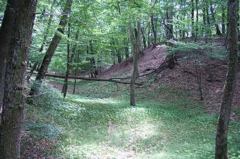 Příkop ( © Roman Řezáč 06/2003)