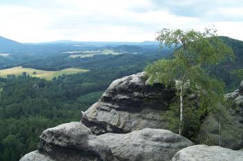 Vilemínina stěna (© Michal Brůža, 07/2009)
