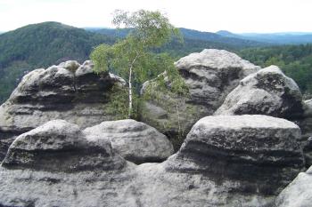 Vilemínina stěna (© Michal Brůža, 07/2009)