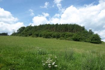 přístupová cesta ke hřbitovu ( © Milan Caha 08/2009)