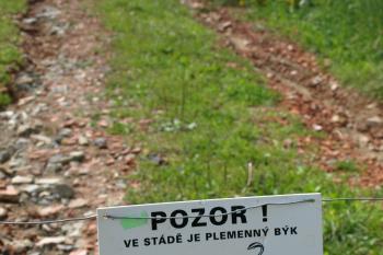cesta jen na vlastní nebezpečí ( © Milan Caha 08/2009)