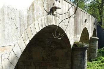 Pohled z pravého břehu řeky - detail (© Jiří Cukr, 05/2007)