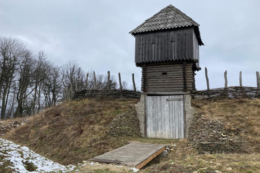 Curia Vítkov