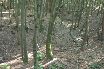 Severní část příkopu a valu (© Prudký Martin, 08/2009)